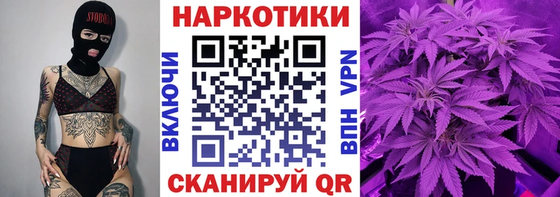Купить закладку Бошки Шишки  Меф мяу мяу  Мураши