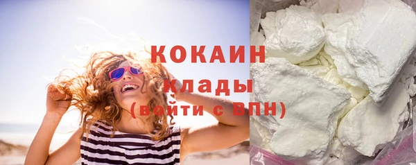 2c-b Ельня