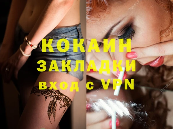 2c-b Ельня