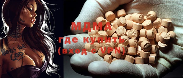 тгк Дмитриев