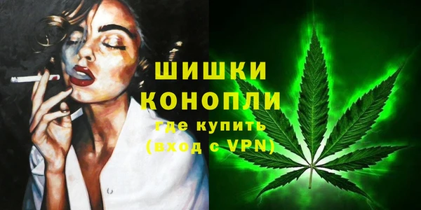2c-b Ельня