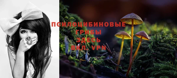 бошки Дмитров